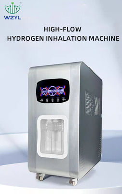 Good price Máy hít thở hydro 3000ml thiết kế mới Mô hình cấp y tế Đối với việc sử dụng ngoài trời cho RV Weizi trực tuyến