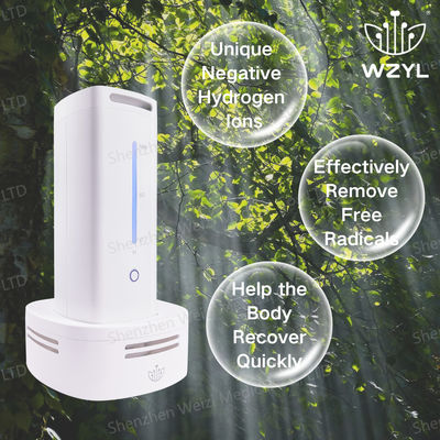 Good price Động cơ ion âm oxy hydro tùy chỉnh cho văn phòng gia đình trực tuyến