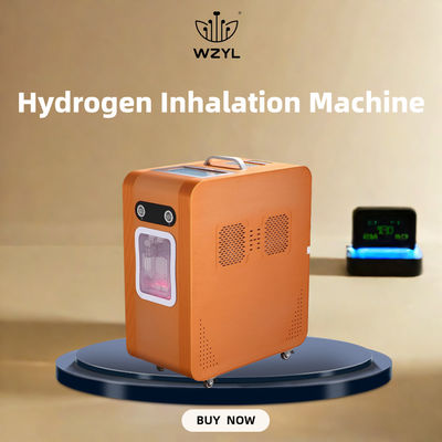 Good price AC220V Hydrogen Oxy Inhaler Máy hít oxy Hydrogen 3000ml/M trực tuyến